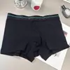 Tiro Bajo Nuevo Estilo Ajustado a la Cadera Encaje de Cinta Más Vendido Hada Japonesa de Moda Fabricante de Ropa Interior para Mujer Bloqueo de Color