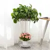 Estilo Europeo Hierro Forjado Soporte para Flores Sala de Estar Balcón Dormitorio Interior Suculentas Cinta de Jardín Planta Araña Estante de Macetas Multicapa De Pie