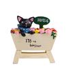 Resina de Dibujos Animados Comestibles Japoneses Jardinería Suculenta Flor Enchufe Accesorios para Disparos Se Pueden Usar como Resumen de Imanes de Refrigerador y Adornos de Escritorio
