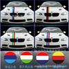 Pegatinas para capó, techo y carrocería de coche, con diseño de bandera de flores de tres colores, que cambian de color, Francia y Alemania, D350