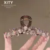 Hermoso Pinza Grande para el Cabello de Cristal Rosa Claro con un Diseño Sofisticado para Peinados Recogidos, Accesorio de Pinza Tiburón de Alta Gama, Modelo Nuevo