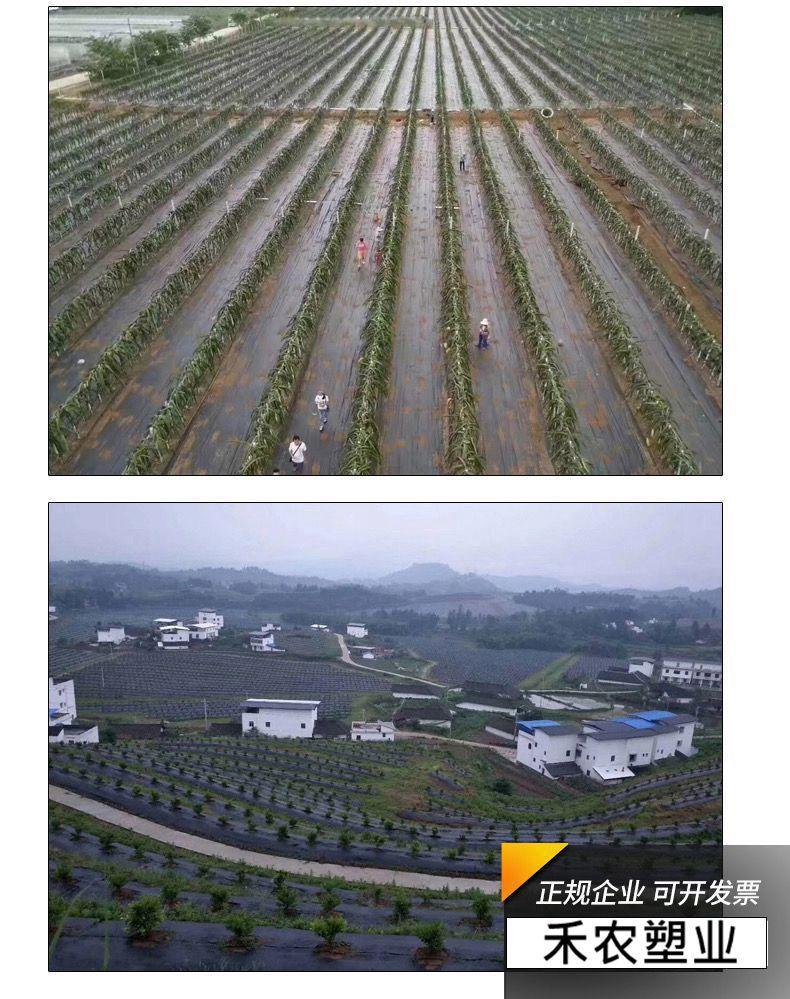 微信图片_20230412213128_副本