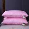 Núcleo de Almohada Seersucker Transfronterizo Dormitorio de Estudiantes Proteína Almohada Alta y Baja Hogar Lavable Núcleo de Almohada Venta al por Mayor