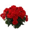 Flor Artificial Popular de Amazon Transfronteriza Flor de Geranio Begonia en Maceta Flor Hecha a Mano Decoración del Hogar Begonia Falsa Ramo