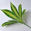 Planta de Simulação Planta Verde Planta em Vaso Decorativa Folha Falsa 9 Garfos Coração Amarelo Grama Dragão de Fogo Material de Parede Correspondente Flor Falsa Cola Folha