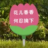 Señal de Cuidado de Flores y Pasto Macizo de Flores Huerto Solo Para Ver Recordatorio Cálido Por Favor No Corte Flores Señal de Recolección Flores y Pasto