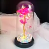 Flor Eterna Cubierta de Vidrio Rosa Lámpara LED Adorno Luz Nocturna Día de San Valentín Día de la Mujer Regalo Flor Real Soñador
