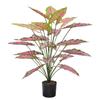Floricultura transfronteiriça Simulação Verde Planta Decoração de Casa Cor Taro Folha Mão-sensação Rosa Mori Folha Falsa Guanyinlian Salian
