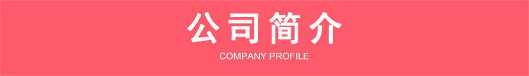 公司简介