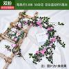Enredaderas de Rosas, Rosas Trepadoras, Decoraciones para Calefacción Interior, Enredaderas de Flores para Cubrir Paredes, Plantas Verdes