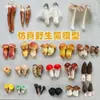 Modelo de Hongo Hongo Silvestre de Yunnan Espécimen Falso Adorno Decoración Escena Montaje Accesorios para Disparar Matsutake