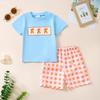 Conjunto de dos piezas para bebé niño, camiseta informal bordada de verano, pantalones cortos a cuadros de manga corta, 2025