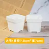 Vaso de plástico branco espesso fosco para suculentas, vaso quadrado pequeno para controle de raiz, vaso para inserção de folha, vaso de planta