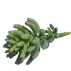 3 Plantas Suculentas de Simulação Combinação de Plantas Verdes Prato Plástico Flor Única em Vaso Flores de DIY Ornamentos Flor Artificial