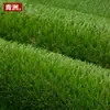 Qingzhou Pet Grama Artificial Artificial Gramado Corte Plástico Pppe Personalizável Fábrica Banheiro de Cachorro Pode Vazamento