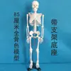 45170cm Modelo de Esqueleto Humano para Enseñanza de Arte y Yoga, Esqueleto para Principiantes con Columna Vertebral Completamente Móvil y Desmontable