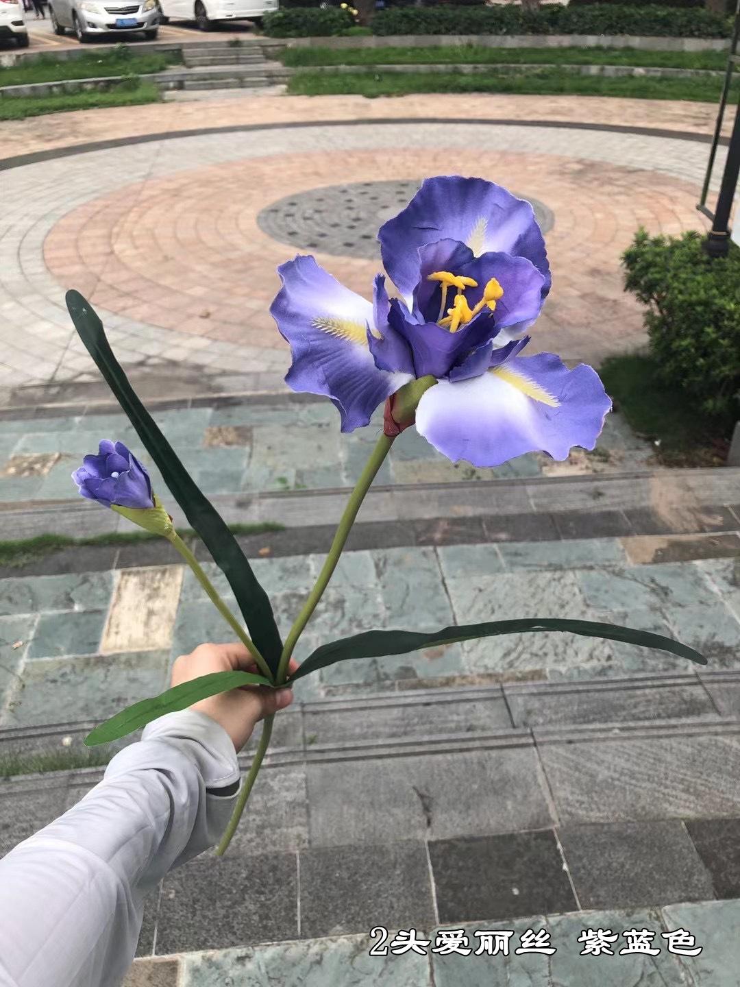 微信图片_20220409172649.jpg