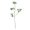 Folha de lótus artificial Guanyin, vime zen chinês, plantio verde, flor artificial, pacote de flores artificiais simples, decoração de flores secas para ambientes internos