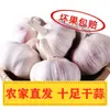 Cabeça de Alho Seco 5kg Cultivado em Casa Henan Qixian Alho 2024 Cabeça de Alho Alho Seco 2.5kg Casca Roxa Casca Branca 1kg 1.5kg