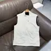 Chaleco deportivo reversible de mezcla de cachemira y seda de morera, resistente al agua y al viento, nuevo para otoño/invierno para hombre, con cuello alto para exteriores