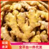Gengibre fresco comestível de Yunnan, gengibre grande, gengibre pequeno, gengibre fatiado para fazer sopa, refogar e temperar