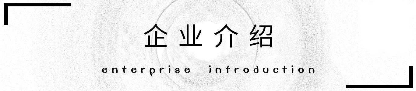 企业介绍
