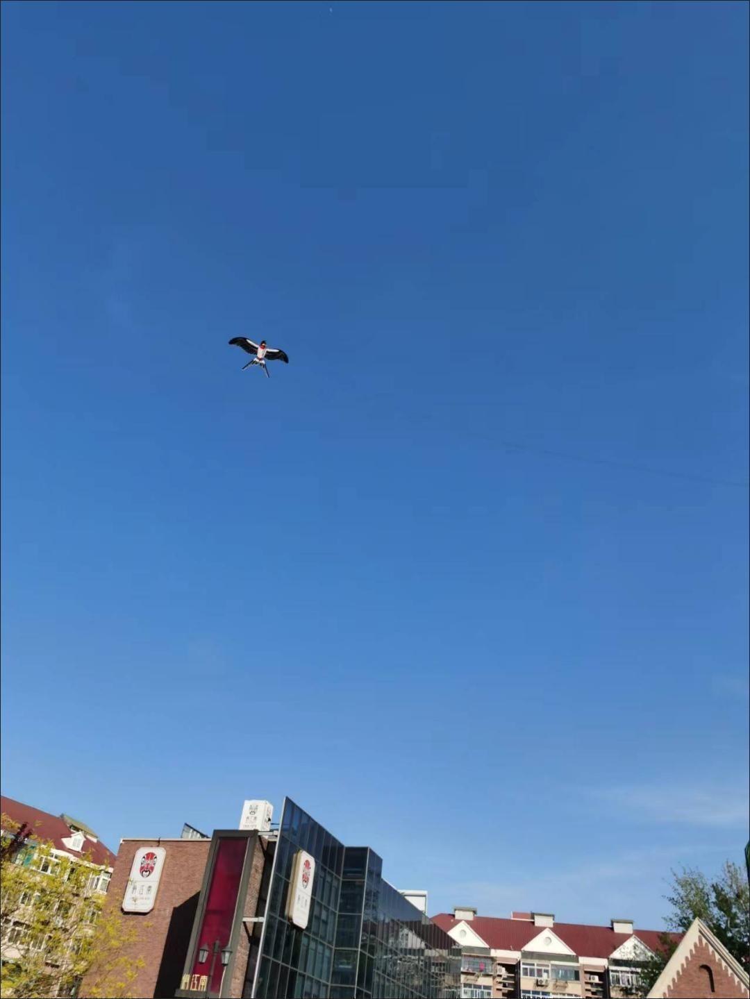 详情图片_09