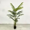 Simulação de anêmona solta anêmona anêmona decoração de interiores decoração de casa plantas em vaso verdes atacado paisagismo