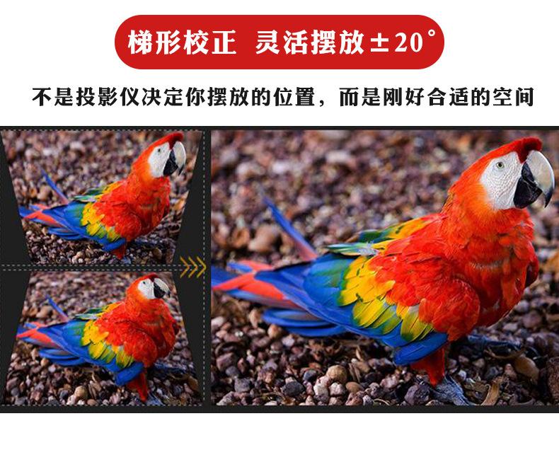 投影仪
