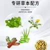 Ungüento Herbal Tradicional Chino para el Cuidado de la Piel para Uso Externo, Tratamiento de Escamas de Pescado y Piel de Serpiente, Personalización OEM y Fabricación por Contrato