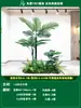 Paisagismo de Planta Artificial Varanda Arranjo de Paisagem Escada Interna Sob Árvore de Flores Artificiais Decoração Biomórfica Planta Verde Paisagismo Combinação
