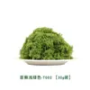 Musgo Seda Lana Musgo Bonsái Pavimento Planta Verde Decoración Filamentoso Musgo Falso Bricolaje Musgo Verde Artificial