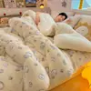 Edredón de Felpa Grueso de Doble Cara para Invierno al por Mayor, Ropa de Cama de Felpa de Leche y Felpa de Cordero, Edredón para Persona Doble de Hogar para Cuatro Estaciones, Núcleo de Edredón Individual para Dormitorio