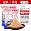 Mengda Cebo Elemento Alga Cola Amarilla Grande Comida para Peces Cebo para Peces para Pesca Salvaje Especializado en Mojarra Cola Roja y Carpa Crucian
