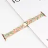 Adecuado para Iwatch, Suministro Directo de Fábrica Xiaomi, Correa de Reloj Multicolor Ovalada Pequeña de Resina Acetato, en Stock para Entrega Directa