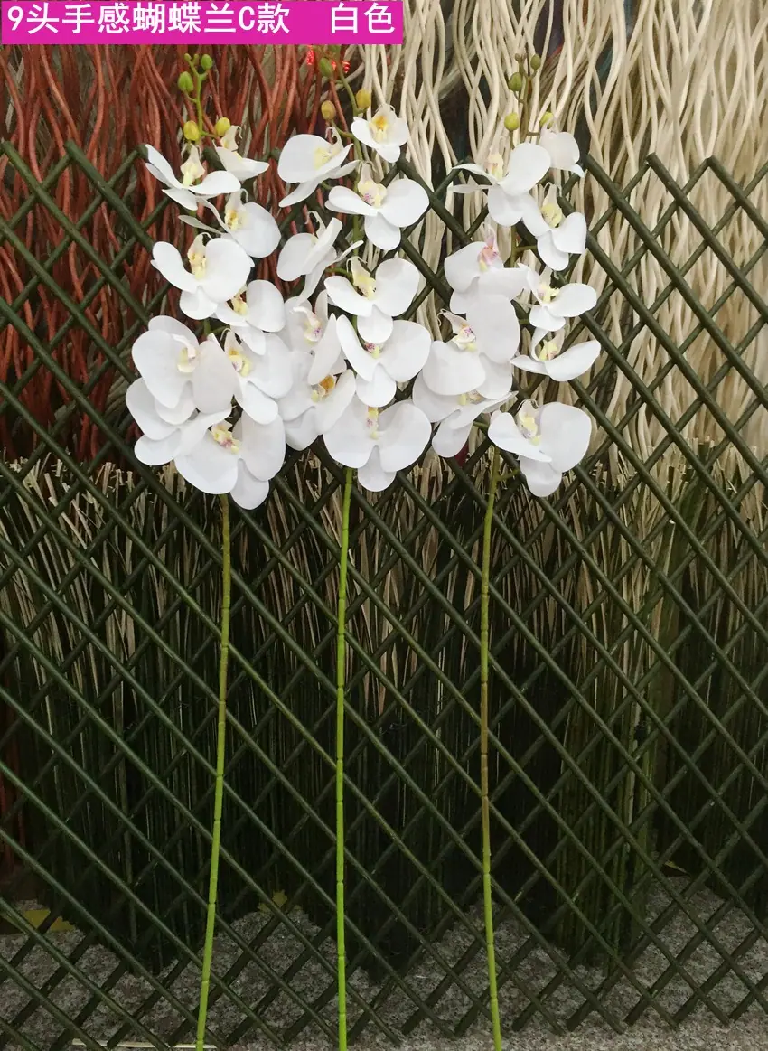 2-4_副本