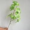 Pássaro louco Folhas de Taro Folhas Alocum Cerimônias de Casamento Auditório de Casamento Floricultura Decoração Suave Simulação Planta Verde Shopping Shopping Vitrine Folhas
