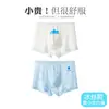 Roupa íntima adolescente, seda gelada tipo A, para crianças em crescimento, cuecas boxer para meninos, estilo fino de verão para meninos e estudantes