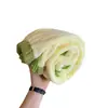 Toalha de Banho Verde Abacate, Veludo Coral, Algodão Puro Macio, Absorvente de Água, Secagem Rápida, Saia de Banho, Toalha, Toalha de Banho, Adequada para Estudantes e Adultos para se Envolverem ao Tomar Banho