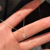 Colar de Aço Titânio Estilo Igual de Blogueira Pedra Olho de Tigre Pingente de Cacho de Uva Nicho Alto Padrão Corrente Longa para Suéter Ajustável para Mulheres