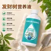 Solución nutritiva para árbol de la fortuna, fertilizante especializado para plantas de interior en maceta, revitaliza las plantas, previene el amarillamiento, la caída de hojas y la pudrición