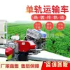 Vehículos de transporte monorriel específicos para huertos para la fertilización, cosecha y transporte de fruta de los árboles frutales; sistemas de transferencia de monorraíl en terrenos montañosos; equipo de tren pequeño
