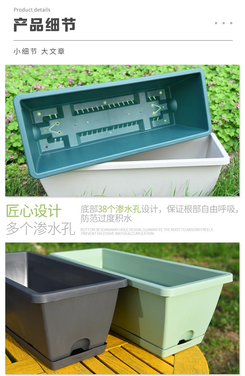 虎威详情_04
