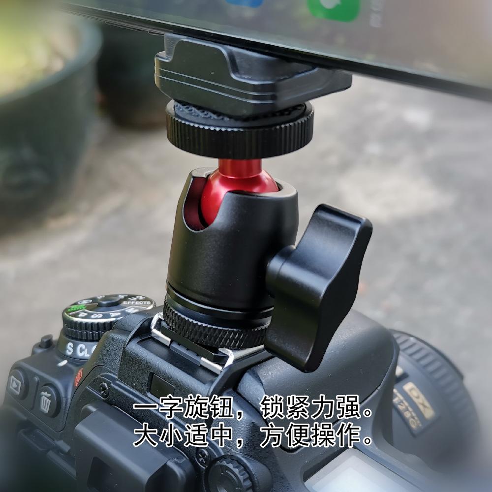 IMG_20220425_145533_副２２２２２本２２