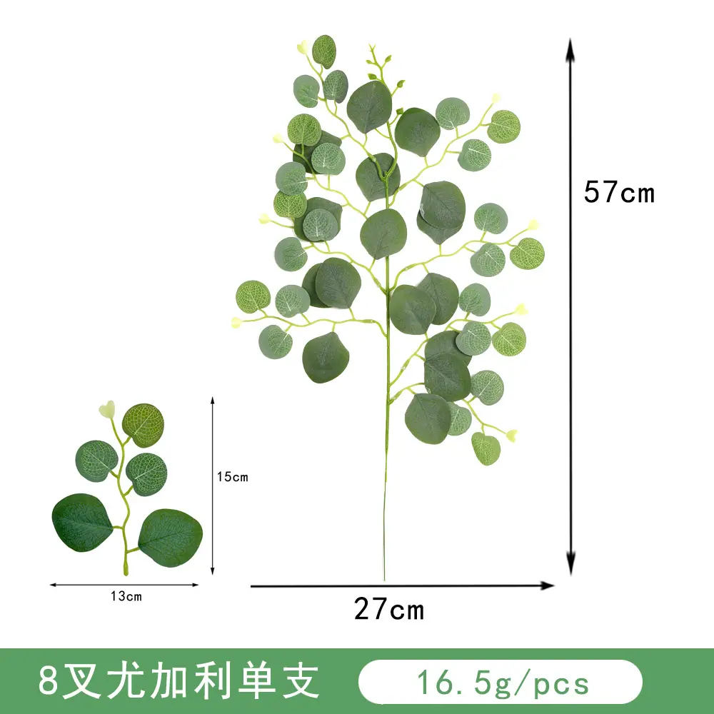 8叉尤加利单支