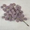Simulación Eucalipto Hoja de Eucalipto Ratán Trigeminal Decoración de Boda Flor Artificial Nórdico Transfronterizo Explosivo