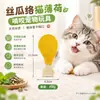 Brinquedo de mastigar com catnip e bucha para gatos, autoentretenimento, alívio do tédio, durável, consome energia, em estoque, pronto para envio