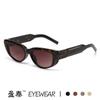 Gafas de Sol Ojo de Gato de Montura Pequeña para Mujer Moda Transfronteriza Ins Fotografía Callejera Casual Gafas Simples Sentido de Alta Gama Gafas de Sol Personalizadas Modernas