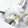 Flores Artificiales de Orquídea Phalaenopsis Floristería DIY Recuerdo de Boda Adorno Pequeño Pasador Decorativo Tocado Accesorio para Fotografía