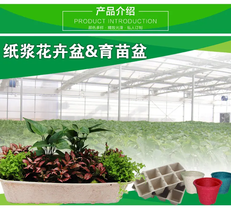 花卉育苗盆详情_03